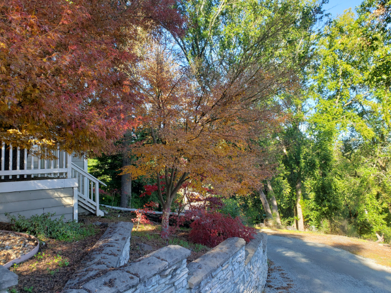 21670 Woolaroc Drive Los Gatos, CA 95033