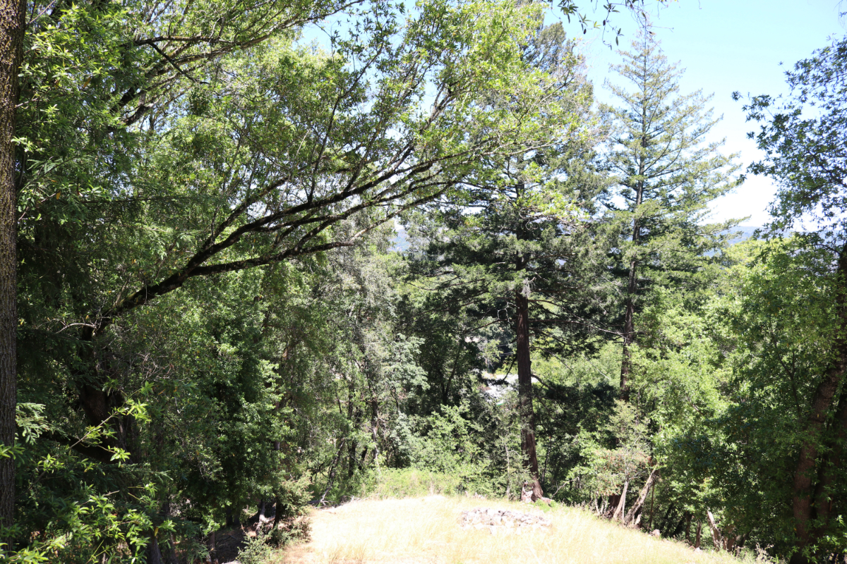 21670 Woolaroc Drive Los Gatos, CA 95033